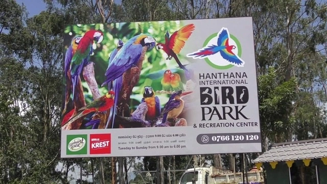 birdpark