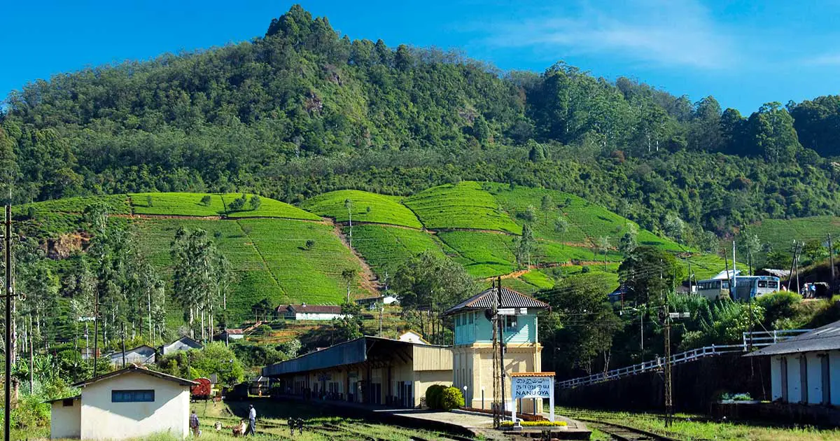 Nuwaraeliya to Ella 2